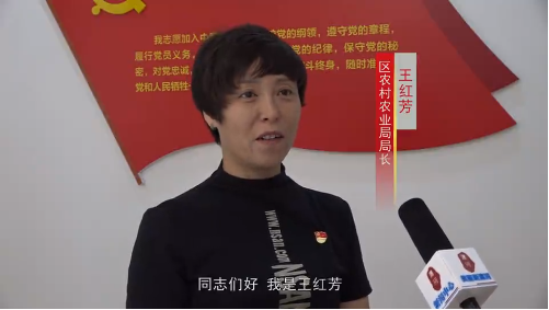 区农业农村局局长  王红芳